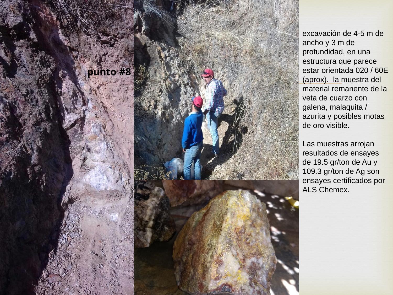 Punto #8 excavation showing quartz vein with galena and visible gold