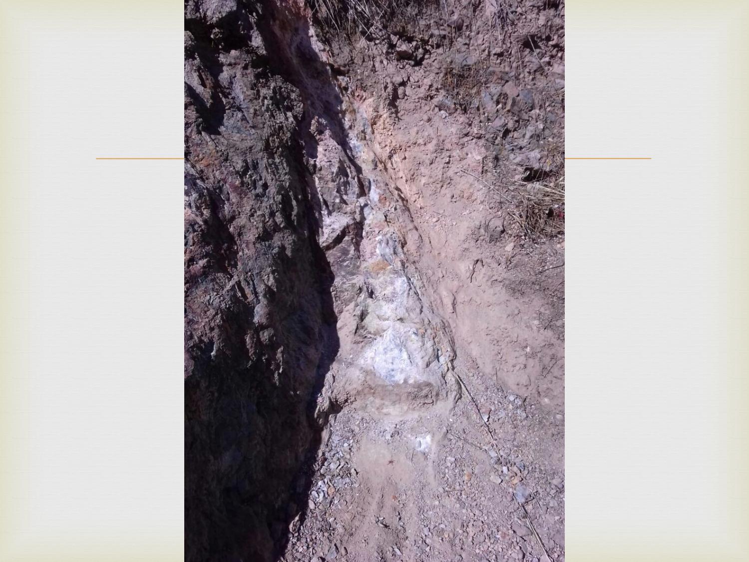 Exposed quartz vein system in trench showing NW structural orientation